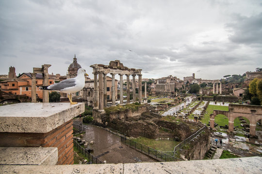 Rome, Italy - November, 2018: Roman Forum in Rome, Italy, It is one of the main tourist attractions of Rome. Ancient architecture and cityscape of historical Rome.