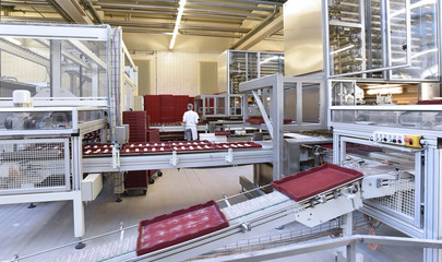 Fliessbandproduktion in einer Großbäckerei - moderne Maschinen in der Lebensmittelindustrie //...