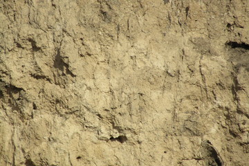 Fototapeta premium texture of old wall
