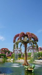 Dubai Miracle Garden