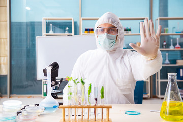 Male biotechnology scientist chemist working in the lab