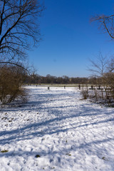 Englischer Garten in München im Winter 