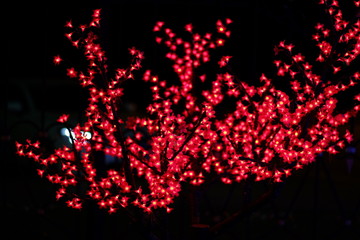 Light installations of the night city