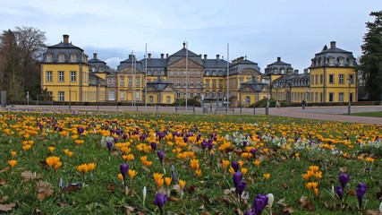 Blühende Krokusse vor dem Schloss in Bad Arolsen