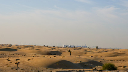 Dubai Desert