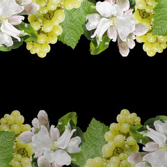 Beautiful floral background of green grapes and Apple blossom