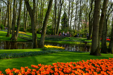 Netherlands,Lisse, a plant in a park