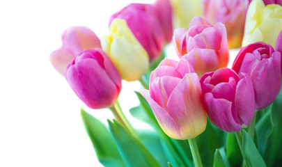 Mix of tulips flowers