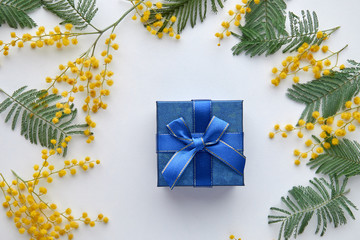 Blue gift box with yellow mimosa flowers on white background. Spring background with space for text.