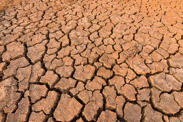Crisp hay on the dry and cracked land in the dry season of Southeast Asia