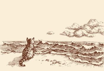 A cat on the beach watching the sea vector hand drawing