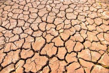 Crisp hay on the dry and cracked land in the dry season of Southeast Asia