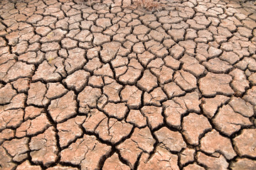 Crisp hay on the dry and cracked land in the dry season of Southeast Asia