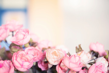 Pink rose in soft focus with blurred background . Wedding, valentine and love concept background.