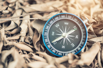 Fototapeta na wymiar Compass on dry leaves with light. Instrument for determining directions placed. Travel background concept.