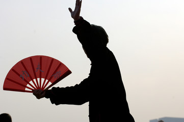 a chinese man doing thai chi in the morning