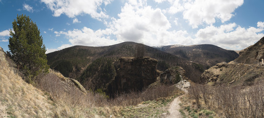Panorama of the foothill region in the Caucasus, a path with a tree and in the distance a cliff in the gorge on a sunny day