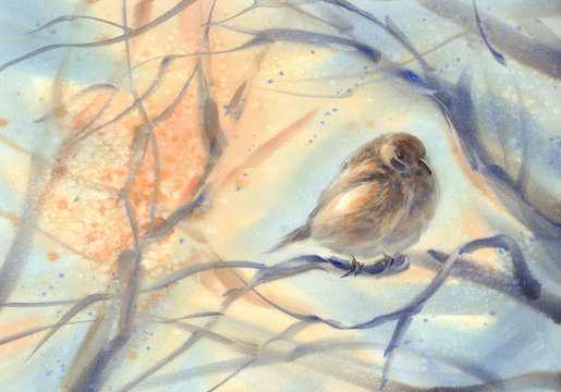 Little Bird Sparrow On The Branch Watercolor Background