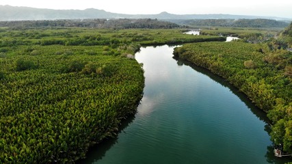 vue aerienne, Rivière Abatan, Bohol, Philippines