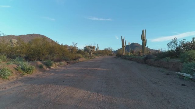 Lonely Sonoran Desert Road
