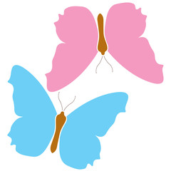 Blue butterfly pink icon logo isolated white background. Colorful beautiful  color wings symbol. Vector tropical nature illustration
