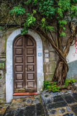 Naples, Italy - August 16, 2015 : Brown antique door with the rank tree.