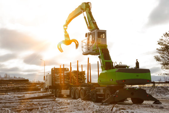 Unloading of industrial wood brought from forest plots in the rays of sunlight. Wood handling with trailer.