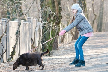 Teen girl walking a dog - A dog is pulling.