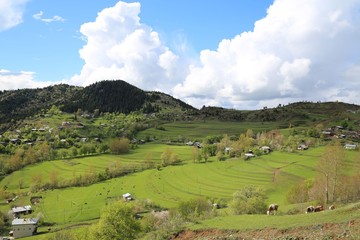 landscape village nature artvin savsat