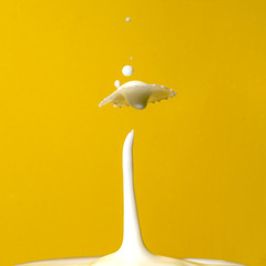 Milchspritzer, Milchtropfen, Milchtropfenkollision, Milch, Milksplash, Splash, Milk, 