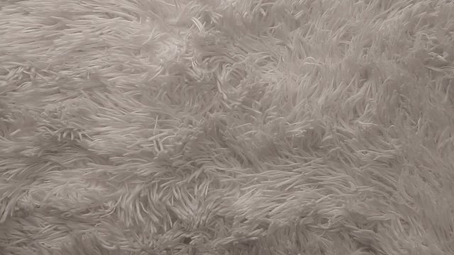 white wool background hd footage nobody 