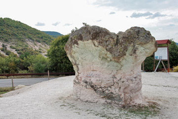 Landscape with Rock formation The Stone Mushrooms near Beli plast village, Kardzhali Region, Bulgaria