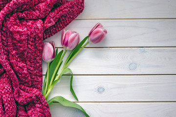 Flowers and sweater on table Top view of knitted sweater and pink tulips placed on white timber table. Save space