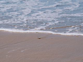 Shore of the beach with clear water