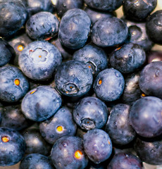juicy blueberries. lots of delicious berries with water drops