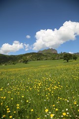 landscape village nature artvin savsat
