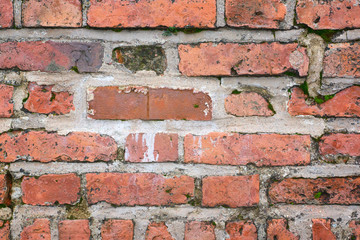 brick wall texture