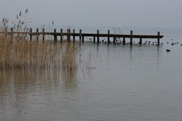 chiemsee