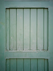 green wood background texture