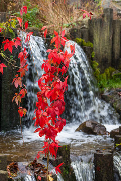 Wasserfall 
