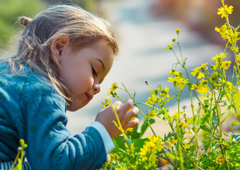 Little boy enjoying flowers aroma