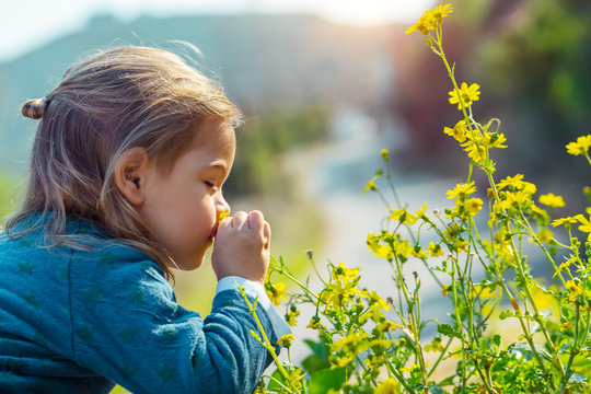 Little boy enjoying flowers aroma