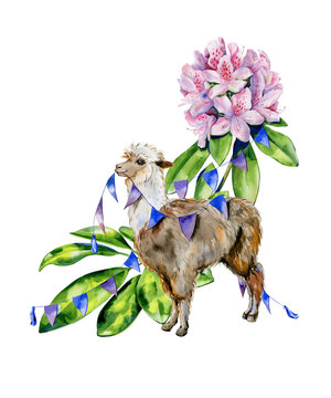 Watercolor cartoon illustration of cute alpaca with pink rhododendron flowers, azalea, schefflera leaves. Interior artwork and nursery room decoration. Fantasy animal llama print.