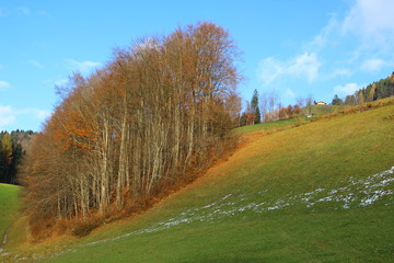 Fototapeta premium voralpenland