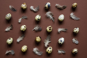 Easter background. Easter egg pattern of quail eggs and feathers on brown background.