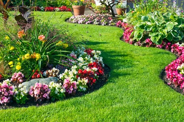 Foto auf Acrylglas Garten Schöner Hausgarten in voller Blüte