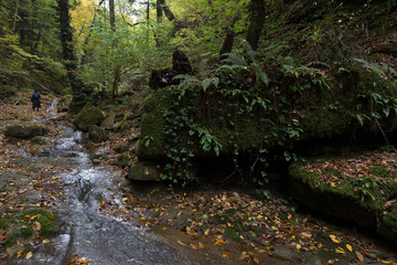 Stream in a mountain gorge in the autumn forest.