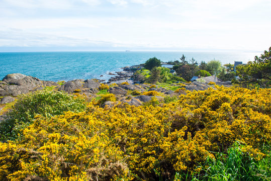 Oak Bay, Victoria, BC,  Canada 