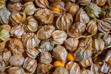 Cape gooseberry backgound