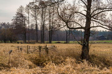 Dolina Górnej Narwi. Wiosna nad Narwią. Natura 2000